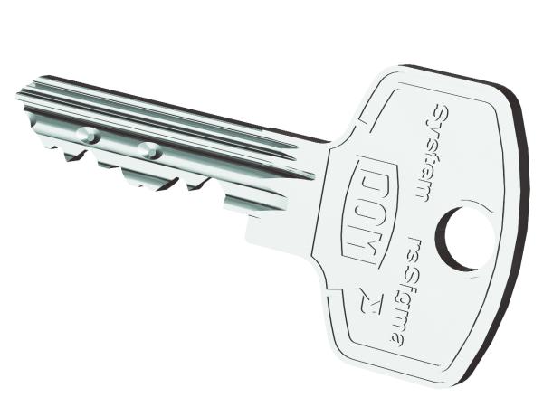DOM RS Sigma Doppelzylinder 333 mit Sicherungskarte